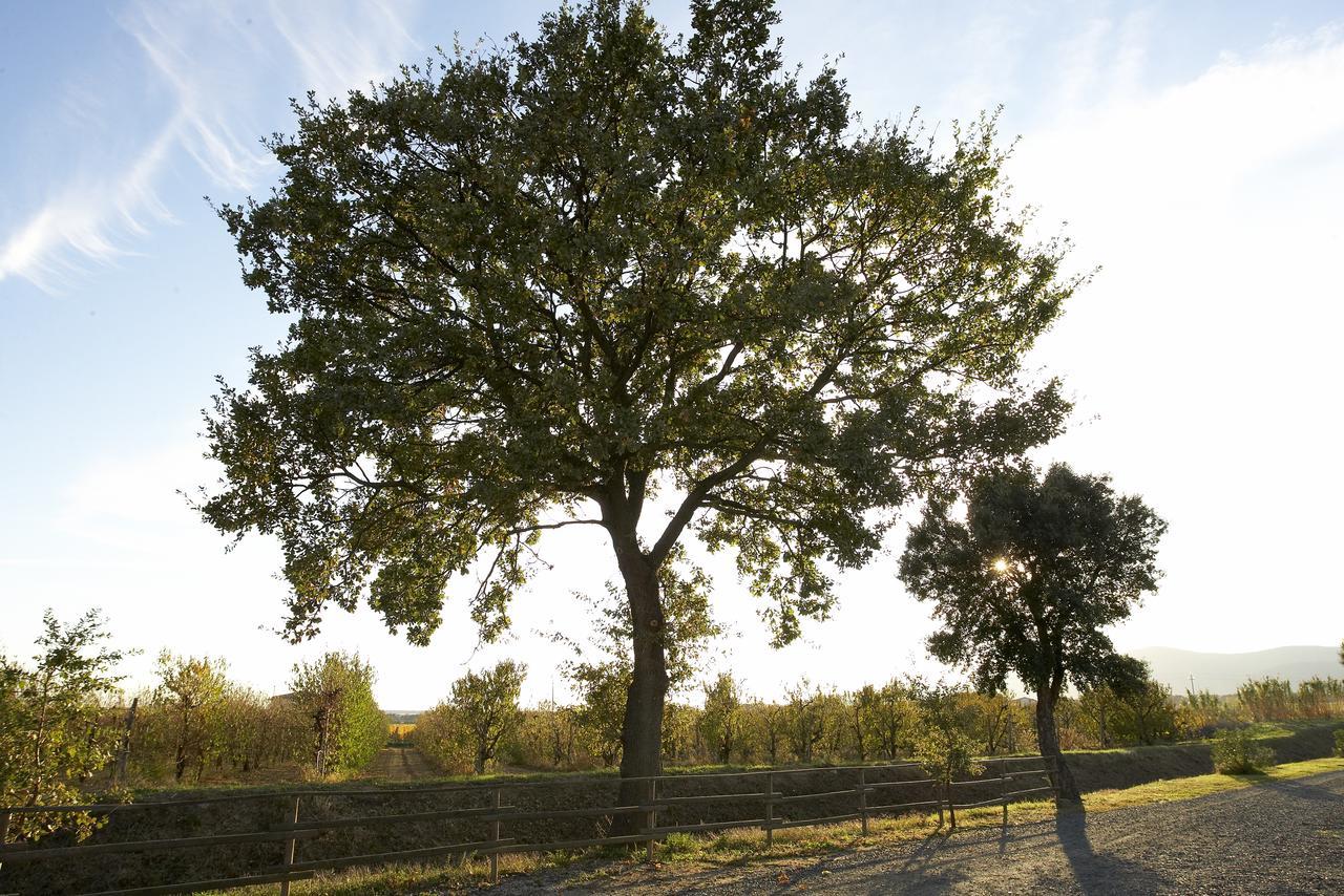 Agriturismo Lucerna Del Lago Prile Bauernhof