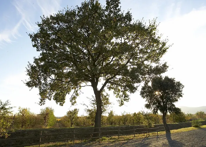 Agriturismo Lucerna Del Lago Prile
